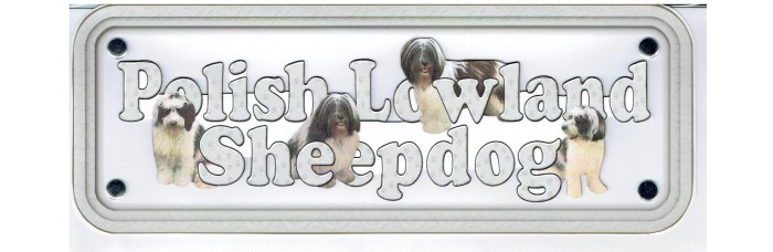 Polish Lowland Sheepdog